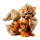LEGO POKÉMON 72160 Arcanine - 1547407 - zdjęcie 3